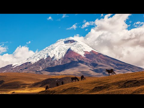 The Mythological Beings of the Andes Mountains