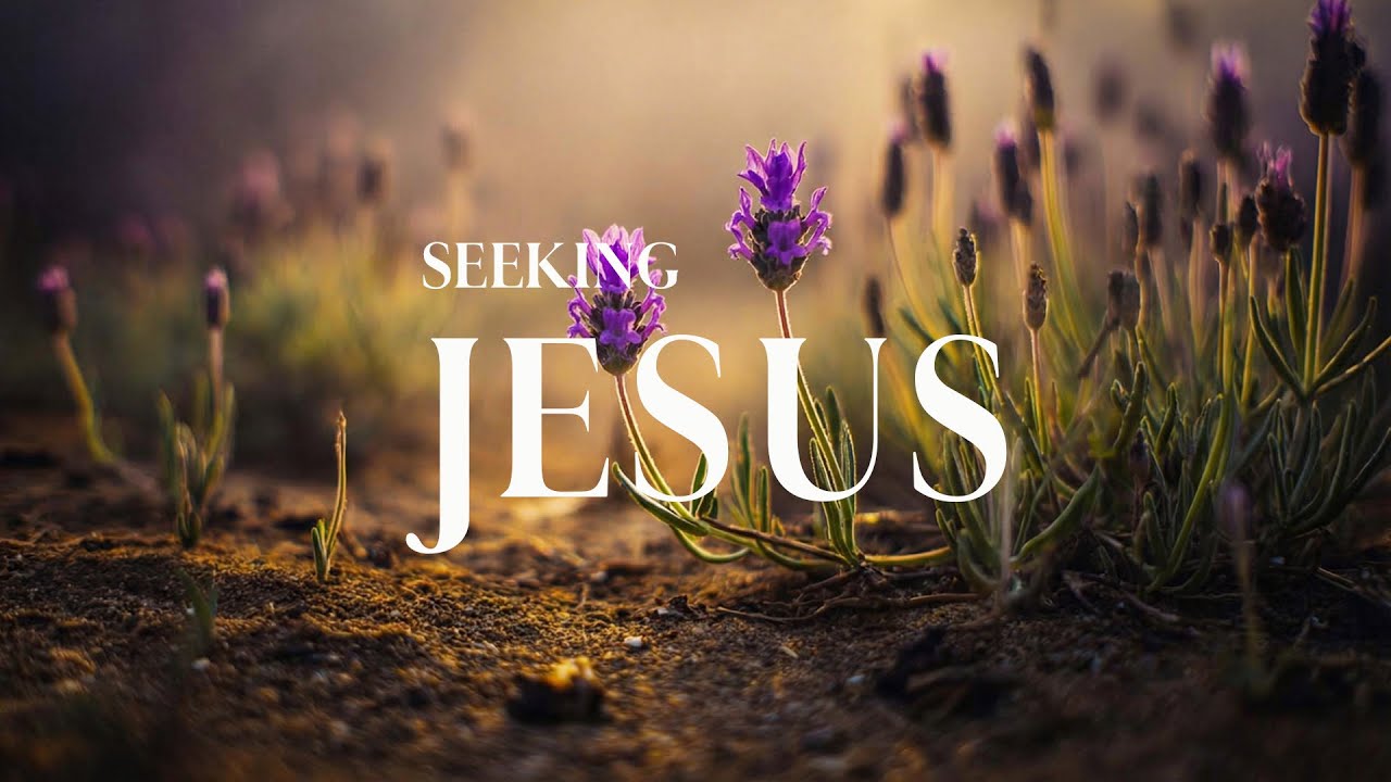 SEEKING JESUS - Gentle Soaking Worship Instrumental – Prayer & Peace