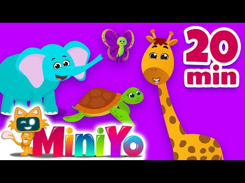 Animal Kingdom | 7 Fun Animal Songs for Kids