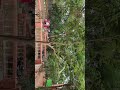 📚✨ Welcome to Shri Channabasaveshwar Gurukul, Karnataka — a#ChannabasaveshwarGurukul