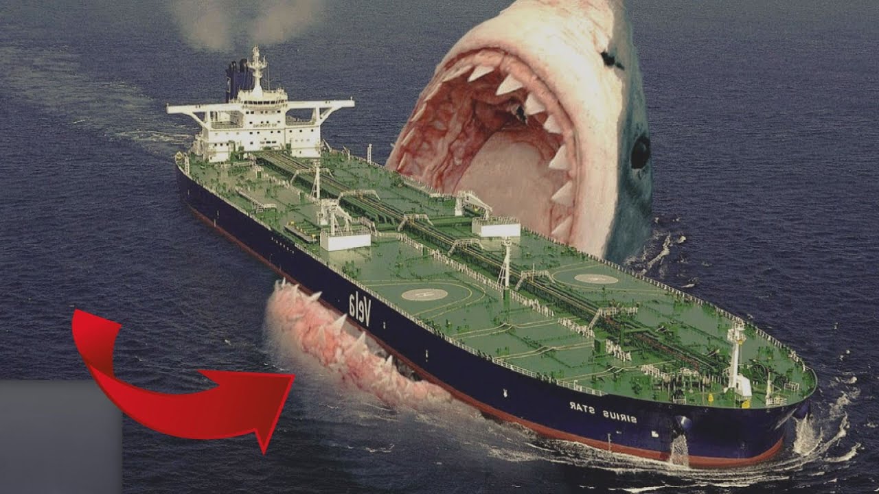 Dünyanın EN Büyük Köpek Balığı - En DEHŞETLİ Gemi KAZALARININ Nedeni; 2