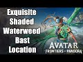 Avatar: Frontiers of Pandora - Exquisite Shaded Waterweed Bast Location Guide