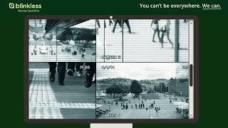 Shopping Center Security Solutions | Remote Monitoring for Retail Properties