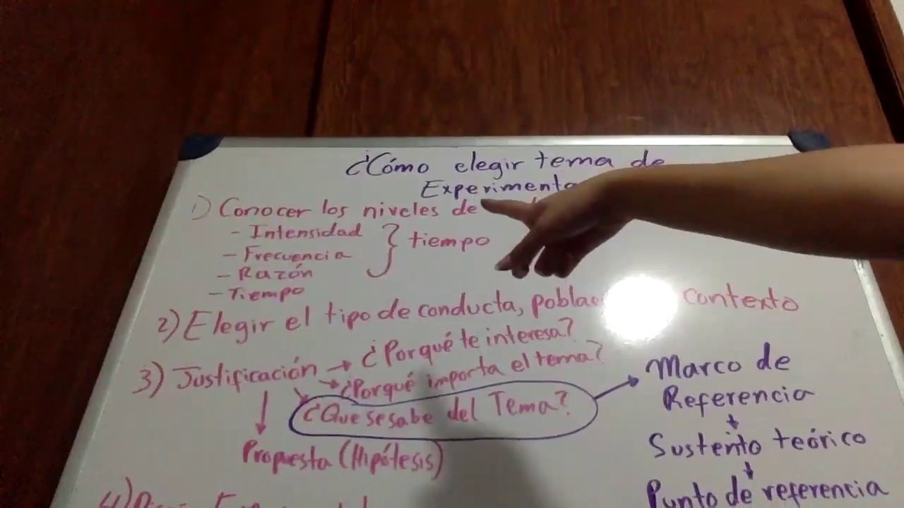 Psicolog a Experimental La Importancia De Las Referencias Te ricas En psicolog-a-experimental-la-importancia-de-las-referencias-te-ricas-en