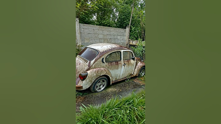 RESCUE OF A 20-YEAR-OLD ABANDONED BEETLE! 😨