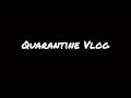 Quarantine Vlog: Part 2