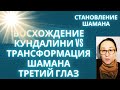 Шаманская Болезнь: Восхождение Кундалини и  Трансформация Тел Шамана. Третий глаз.
