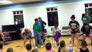 Project graduation hypnotist 2