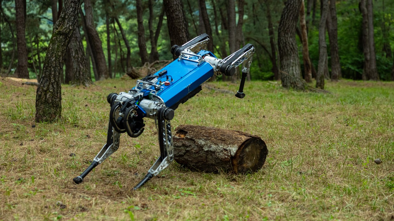 Action Pretrained Transformer-Based Reinforcement Learning for Quadrupedal Robot Locomotion