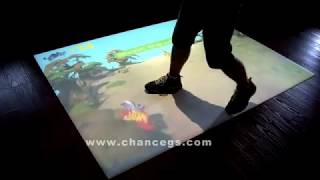 Interactive Floor - Chicken run
