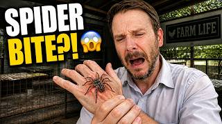 Mucho Changes… and a Spider Bite 😱🕷️