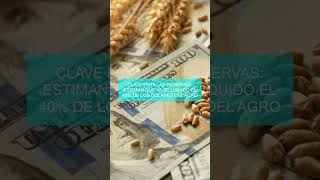 Clave para las reservas: estiman que ya se liquidó el 40% de los dólares del agro