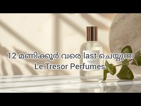 12-Hour Long-Lasting Le Tresor Perfumes | Long Lasting Le Tresor Perfumes | Beast Mode Scents