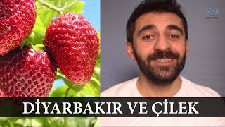 Kıssadan Hisse Hikayeler 1 - Diyarbakır ve Çilek