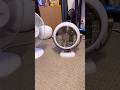 All my portable fans running