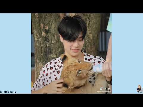 Video [Tổng hợp TikTok] PondPhuwin không biết rén là gì... - youtube