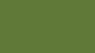 Dark Olive Green Screen for 1 Hour in full HD 4K!