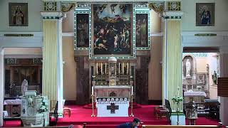 Daily Mass - 10 am Thursday 20 8 2026