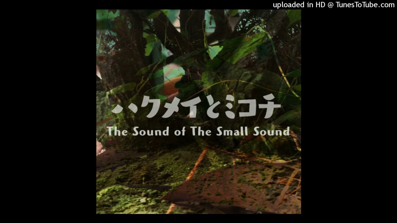 tarolin - 夜明けの遠吠え