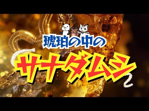 【解説】ミャンマーの琥珀から見つかった白亜紀のサナダムシ化石【古生物学】