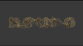 BLENDERSUSHI / SV 3D Text Tree Typography (LIVENODING071)