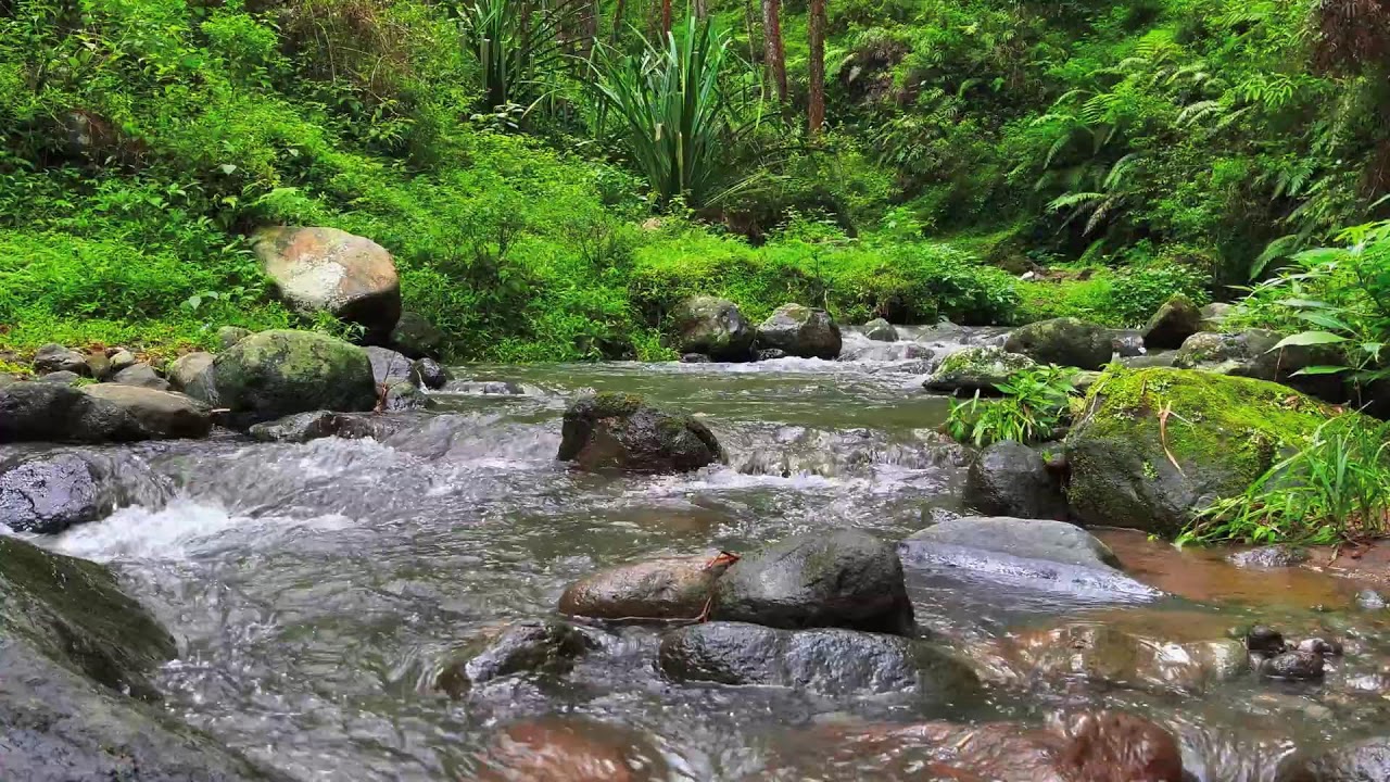 Deep Calm River – 10 Hours of ASMR for Focus, Anxiety & Stress Recovery