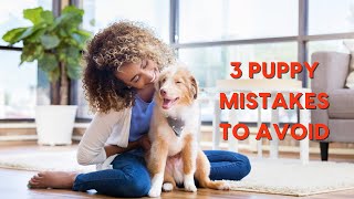 3 Puppy Mistakes to Avoid