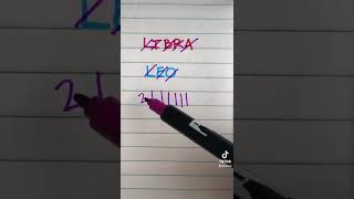 Libra & Leo 💙