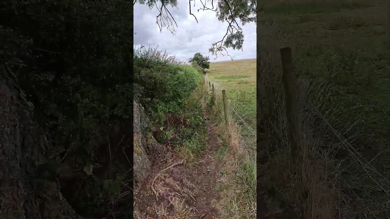 Will the world completely move to crypto in the future?