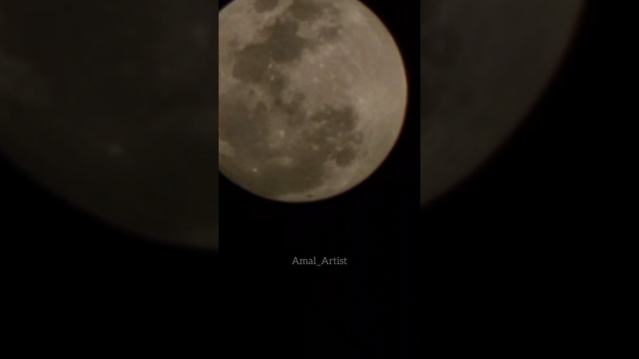 200x s24 camera test 🙄 wait for the end 