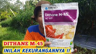 KURANGAN FUNGISIDA DITHANE M-45 UNTUK TANAMAN CABE