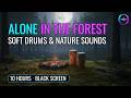 Drift Away &amp; Relax With Rhythmic Drums And Forest Sounds (Deep Sleep, Black Screen, No Ads)