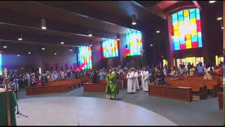 XV Sunday in Ordinary Time