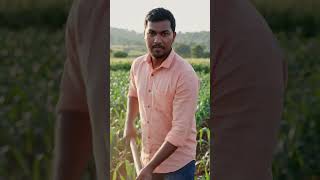 Indian farmer
