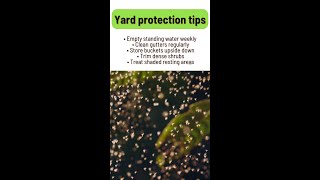 Mosquito Prevention Tips