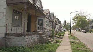 Buffalo homesteaders buy house for $1