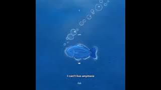 【ENG LYRIC】 Zi Yu (梓渝) - I Am a Fish (我是一只鱼)