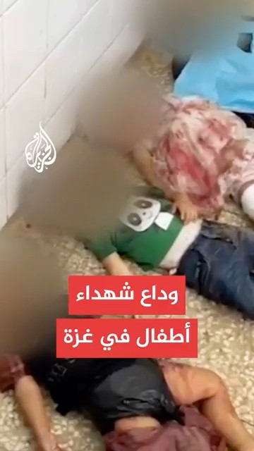        
 - نشر قبل 12 دقيقة