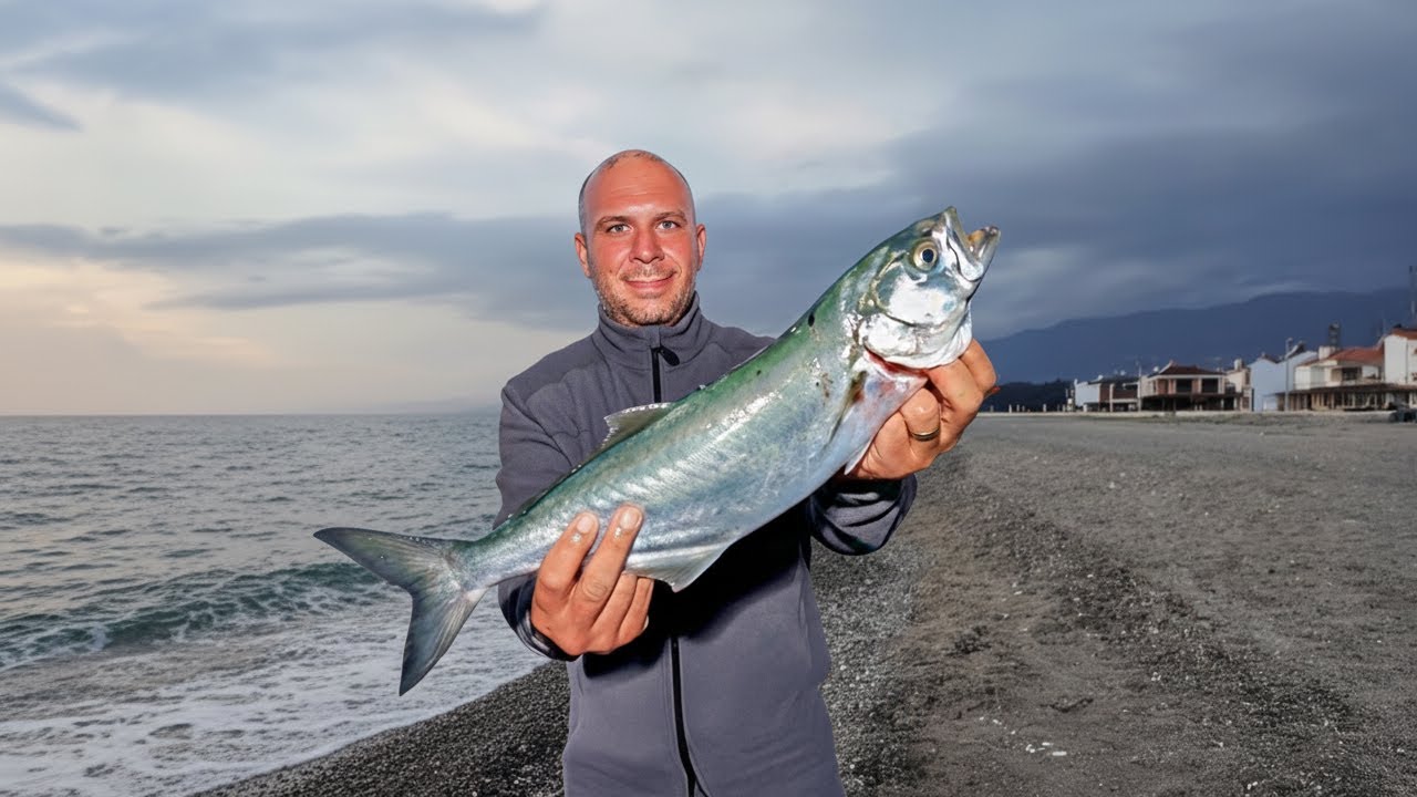 KIYIDAN ŞAŞIRTAN LÜFER VE KALAMAR AVI - TATİLDE BALIK AVI!