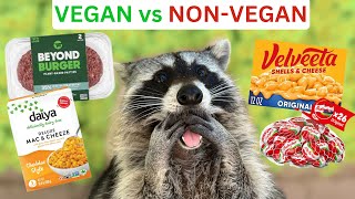 Do Raccoons Want To Be Vegan? (Taste Testing Beyond Burger, Babybel, & Velveeta!) by Tito The Raccoon 34,869 views 5 months ago 10 minutes, 25 seconds