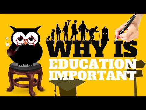 Why Is Education Important | All You Need To Know