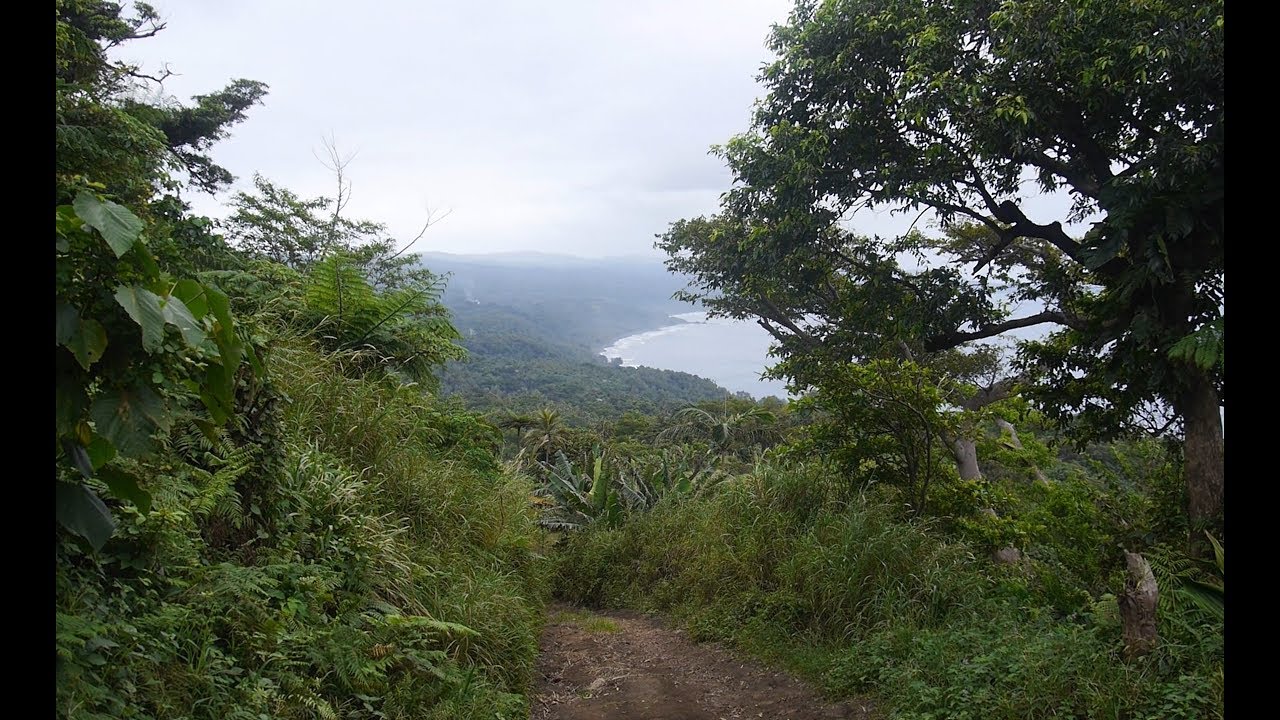 Traditional knowledge and community marine conservation: Tanna, Vanuatu