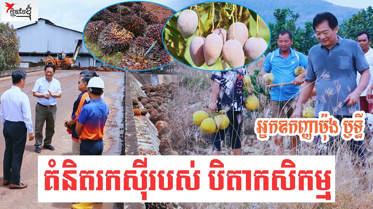 គំនិតរកស៊ីឆ្លាតវៃក្នុងវិស័យកសិកម្ម របស់អ្នកឧកញ៉ា ម៉ុង ឫទ្ធី (ភាគ២) | កម្មវិធីក្ដីស្រមៃខ្ញុំ