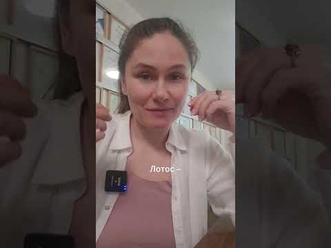 Голубой лотос и Будда: почему духовный символ оказался галлюциногеном?