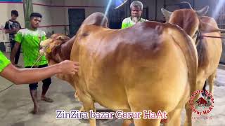 heavyweight bulls showdown _ দেখার মত সুন্দর সব ষাঁড় _ best of apple agro 2024 _