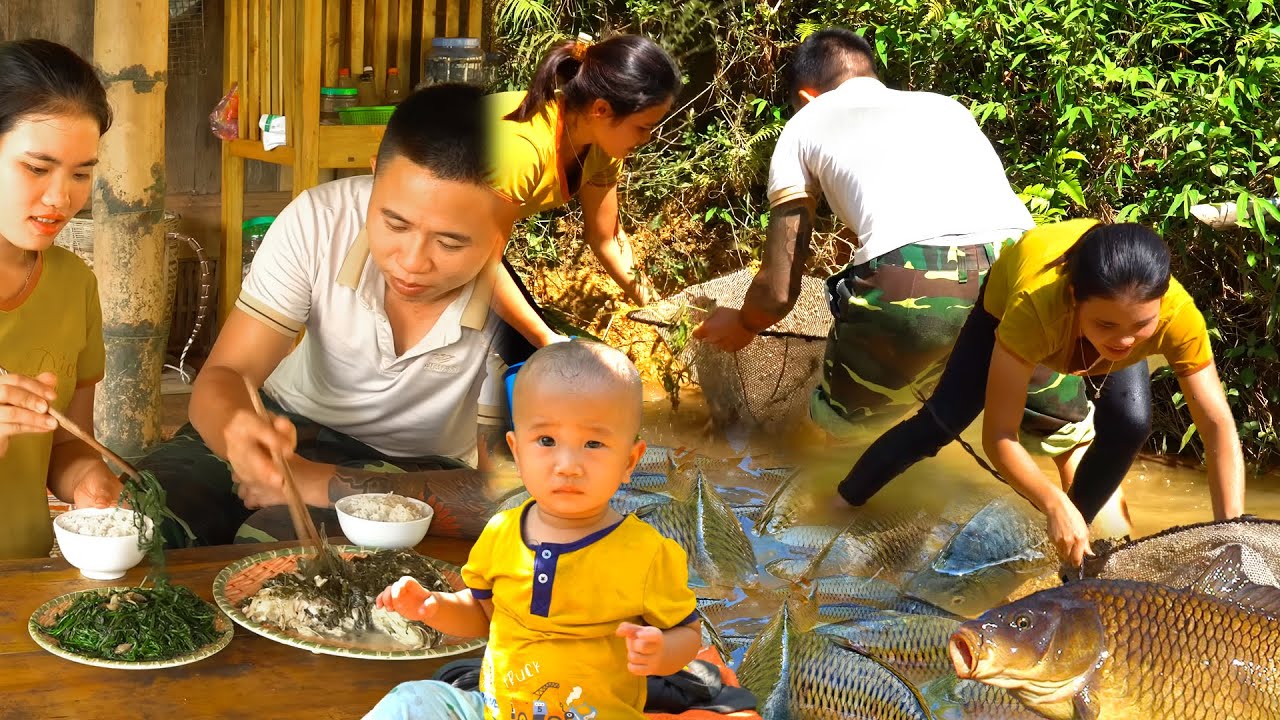 My Boyfriend Discovered a Huge School of Fish – We Caught and Sold Them at the Market