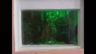 @engenhariaemacao7456 - Aquário feito com EPS o famoso isopor.