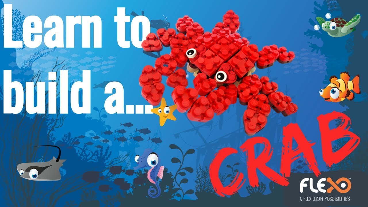 Instructions - Ocean Life CRAB