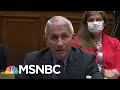 Dr. Fauci Testifies That No One Told Virus Task Force To Do Less Testing | Andrea Mitchell | MSNBC