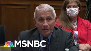 Dr. Fauci Testifies That No One Told Virus Task Force To Do Less Testing | Andrea Mitchell | MSNBC